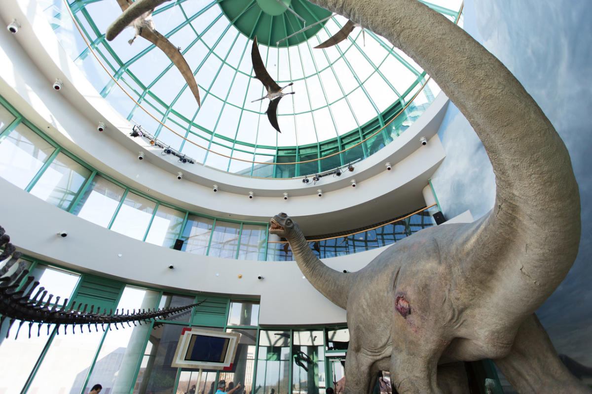 Inside look at the North Carolina Museum of Natural Sciences: A world of discovery.